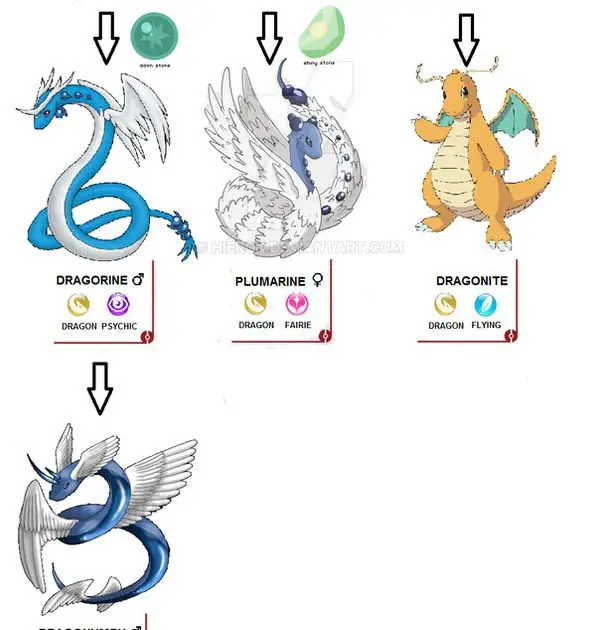 hoe evolueren Dratini