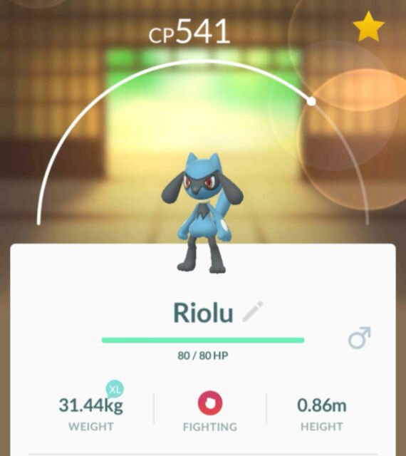 Where To Find Riolu In Pokemon Go Pokemon Ventures
